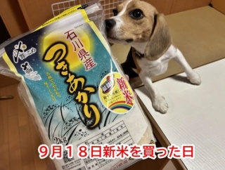 新米の話