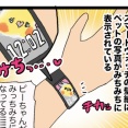 ⌚️小さい画面にみちみちの我が子