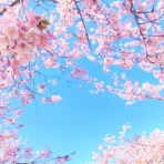 おかえり、My little boy