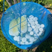 ��ڤ���̣�����ʤ�ŷ������