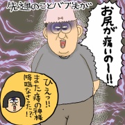 まめきち様 2点おまとめ まめきちまめこ おくすりポケット クレデリオの通販 by