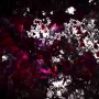 【恐怖画像】オタクさん、ホロライブのラプラス・ダークネスへキモすぎるファンレターを送ってしまう