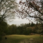 お星様のなんでも探検