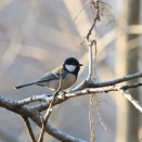 井頭公園　2025.12.8（月）