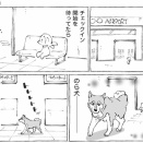 海外空港の野良犬とドタバタ劇。