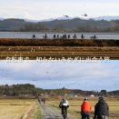 【Rural Adventure Cross-Ride ―宮城の農山漁村を体感する自転車旅―】