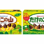 ねことダンボール