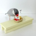 新たなジャンルを始めた店長