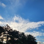 時々ブログ(ななとの新生活日記＆サラとの新生活日記＆ラフィとあみの帰ったらごはん）