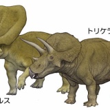 【悲報】憧れのトリケラトプス、実在しなかった