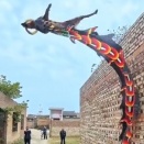 龍の如く宙を舞う犬