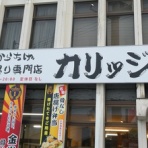 高知のんのんお散歩