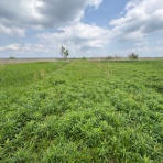 熱血！　幸運児