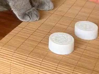 彼女がオヤツを隠してシャッフルした。百発百中！ → 最強の透視能力者はこちらです…