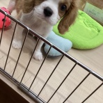 ワンラブ　カインズ広島LECT店のブログ