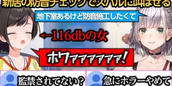 【ホロライブ】新居の防音施工にスバルの叫び声を活用したことを話しリスナーをざわつかせるノエルw