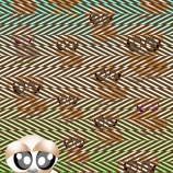 『鳥の一部が!』の画像