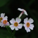 一日一日を大切に