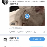 『すずちゃんにエライザちゃん、強い…【指原莉乃】』の画像