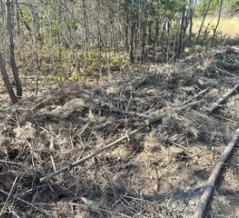 薪作りを進めています