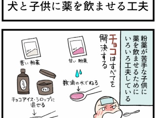 柴犬と子供、薬を飲ませるときの涙ぐましい工夫