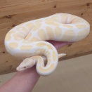 年末年始の営業時間のお知らせ🎍