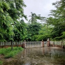 今日は、一日中　雨の様です。