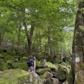 ミヤマキリシマを見に山登りしてきました