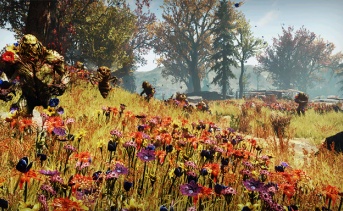 Event: The Big Bloom