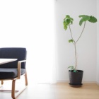 優雅な暮らしにおカネは要らない 貴族式シンプルライフのすすめ Rinのシンプルライフ Powered By ライブドアブログ