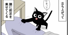 賢さに気付くと愛しさ倍増する