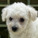 新しく仲間入り💓