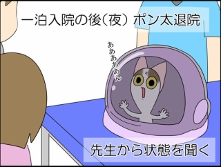 ポン太、腎不全になりました⑤