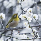 人の話を聞いていない弟