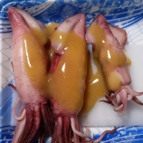 �إܥ����ꥤ�� �ȥ饤����٤β���