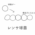 歯科衛生士国家試験対策！！
