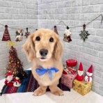 ゆうなぎ動物病院