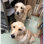 年末に大変な相談がきました😱💦