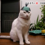 裏つるきち