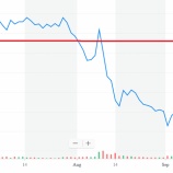『有望企業のIPO(新規公開株)は1〜2年経ってから投資せよ』の画像