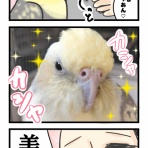 たろぴぃブログ