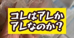 いや、ちがう、いや、そーなのか？