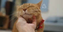 あいびょう♪