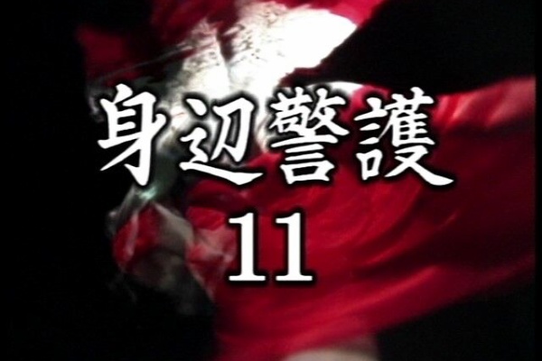 オールキャスト2時間ドラマ いしだあゆみ