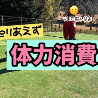 メルロコ一家の横須賀ストーリー