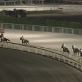 7/4 船橋ハートビートナイター記念(B1B2)【ホワイトヘッド≪60戦目≫】