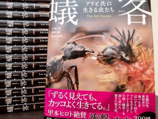 「蟻客」発売とイベント開催のお知らせ