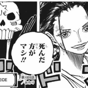 ワンピース 1005話感想 悪魔の子 ニコ ロビン 空島以来のガチバトルへ 最強ジャンプ放送局