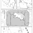 うちの犬のルカ。【１０５】
