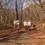 たのしいこといろいろ